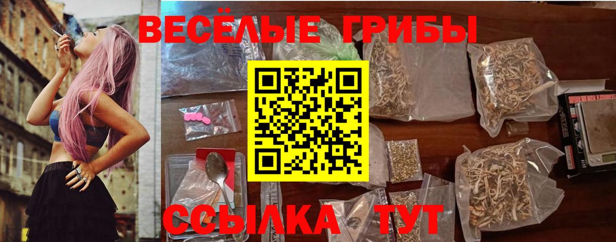 цены наркотик  Псилоцибиновые грибы Psilocybe  Вход с VPN  Северск  Галлюциногенные грибы Psilocybe 